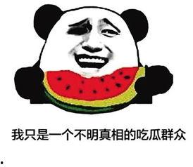 vgg吃瓜群众,揭秘网红美食背后的故事