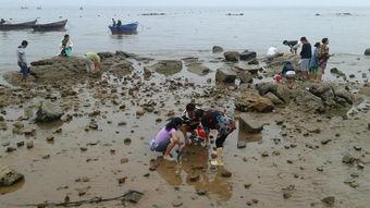 北戴河吃瓜事件,揭秘背后真相与网络舆论风暴