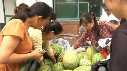 村里吃瓜图片,村民共享吃瓜欢乐时光