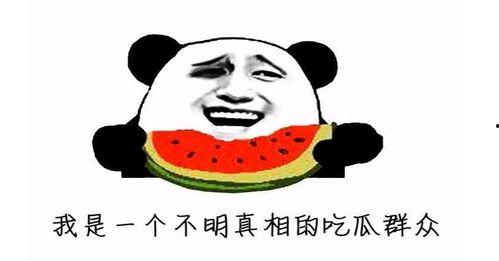 有个大瓜请你吃,一场“大瓜”引发的狂欢盛宴