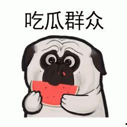 有个大瓜请你吃,一场“大瓜”引发的狂欢盛宴