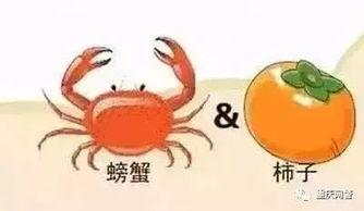 螃蟹吃不吃瓜,探究海洋生物的独特饮食习惯