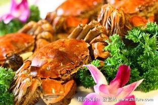 螃蟹吃不吃瓜,探究海洋生物的独特饮食习惯