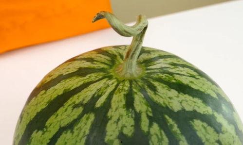 吃瓜哥2月23日的瓜