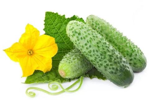 顾青青吃瓜系统,揭秘娱乐圈幕后真相