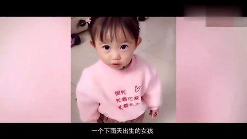 吃瓜雨哥,网络红人的崛起与影响力