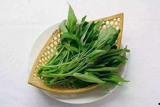 在菜棚吃瓜,瓜香四溢的悠闲时光