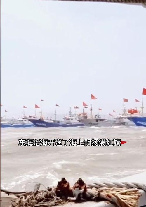 中国渔船吃瓜地图