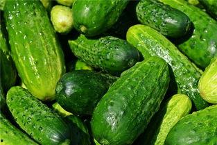 梦见卖小瓜吃瓜,卖瓜与食瓜的奇幻之旅