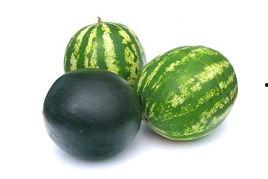 永春东关吃瓜事件,一场引发热议的网络狂欢