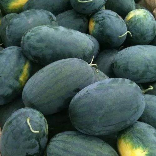 潞潞吃瓜,揭秘娱乐圈那些不为人知的幕后故事