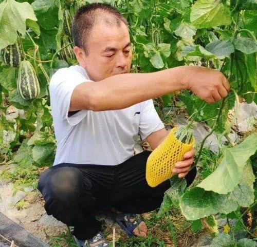 私宠吃瓜,吃瓜群众揭秘豪门秘事