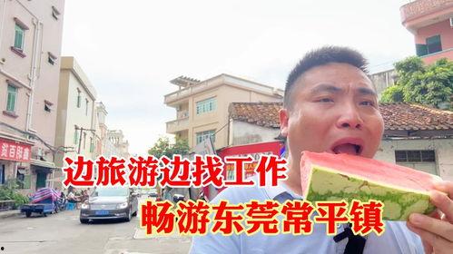 东莞音乐老师吃瓜,一场网络狂欢背后的真相