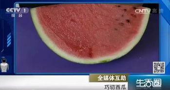 道具吃瓜不吐籽,揭秘神奇道具的神奇魅力