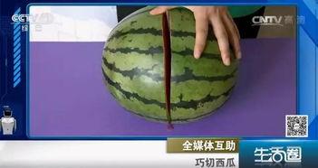 道具吃瓜不吐籽,揭秘神奇道具的神奇魅力