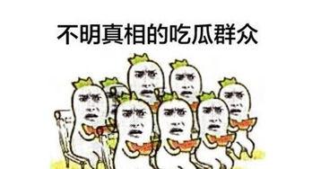吃瓜群众吃瓜子图片搞笑,欢乐瞬间笑翻天