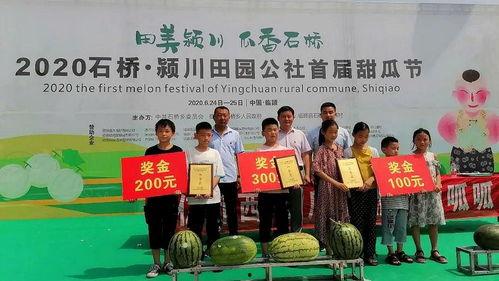 吃瓜比赛奖项,吃瓜比赛奖项大盘点