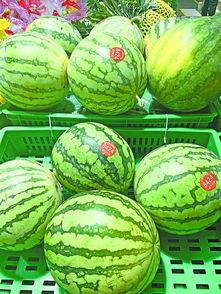 武总吃瓜,揭秘娱乐圈幕后风云