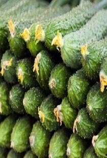 孕妇瓜可以吃吗,孕妇可以放心食用的瓜类水果推荐