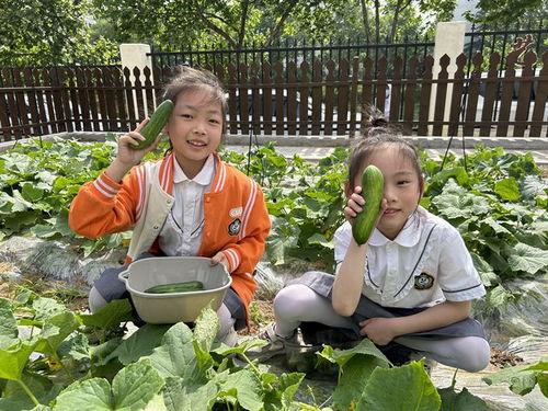 孩子田间吃瓜文案,孩子吃瓜的快乐时光