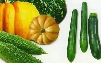 随风吃瓜,揭秘娱乐圈的甜蜜与苦涩