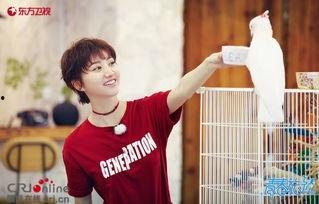 王源助理吃瓜,揭秘娱乐圈幕后趣闻