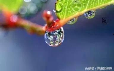 吃白露瓜好处,揭秘白露瓜的五大益处