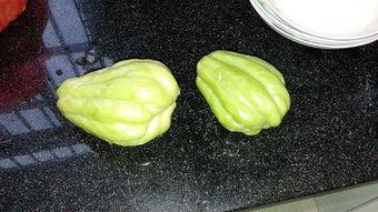 兔儿瓜能晒干吃吗,传统食用的新体验