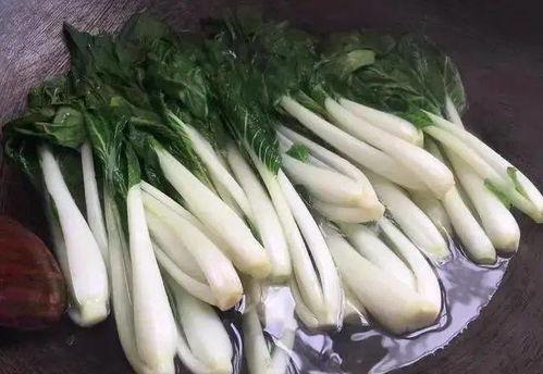 兔儿瓜能晒干吃吗,传统食用的新体验