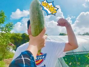 网友今年吃瓜,2023年度网友吃瓜大事件盘点