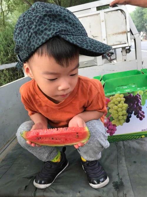 萌甜吃瓜,揭秘娱乐圈甜蜜背后的秘密