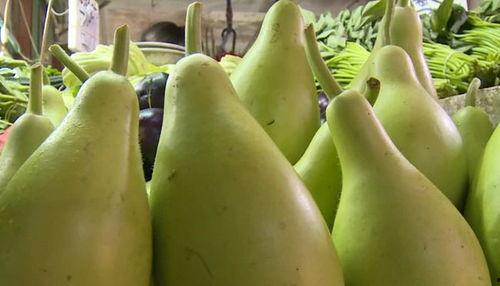 切肉吃瓜的视频