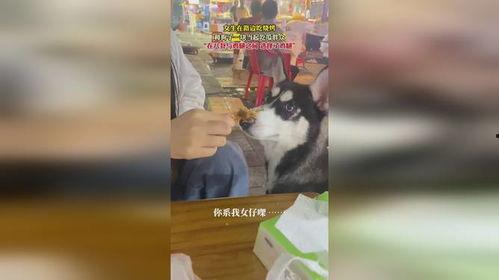 狗狗路边好奇吃瓜