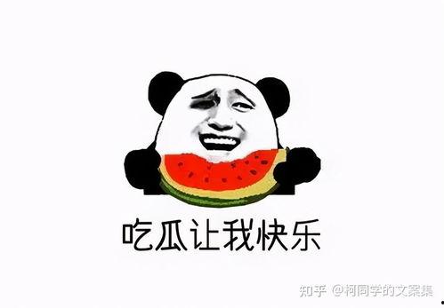 吃瓜文案2021,笑料百出，揭秘娱乐圈风云